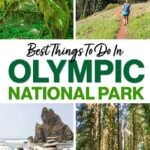 Olympic National Park Things to Do