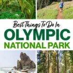 Olympic National Park Things to Do