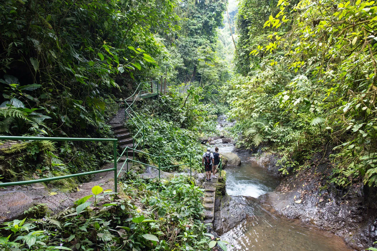 Rainmaker Park Trail