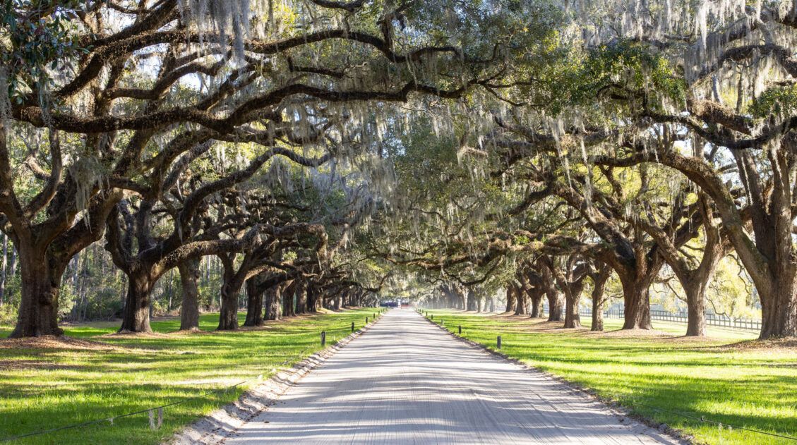 South Carolina