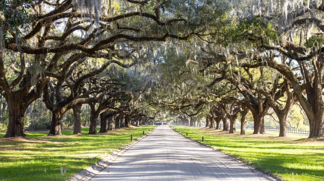 South Carolina