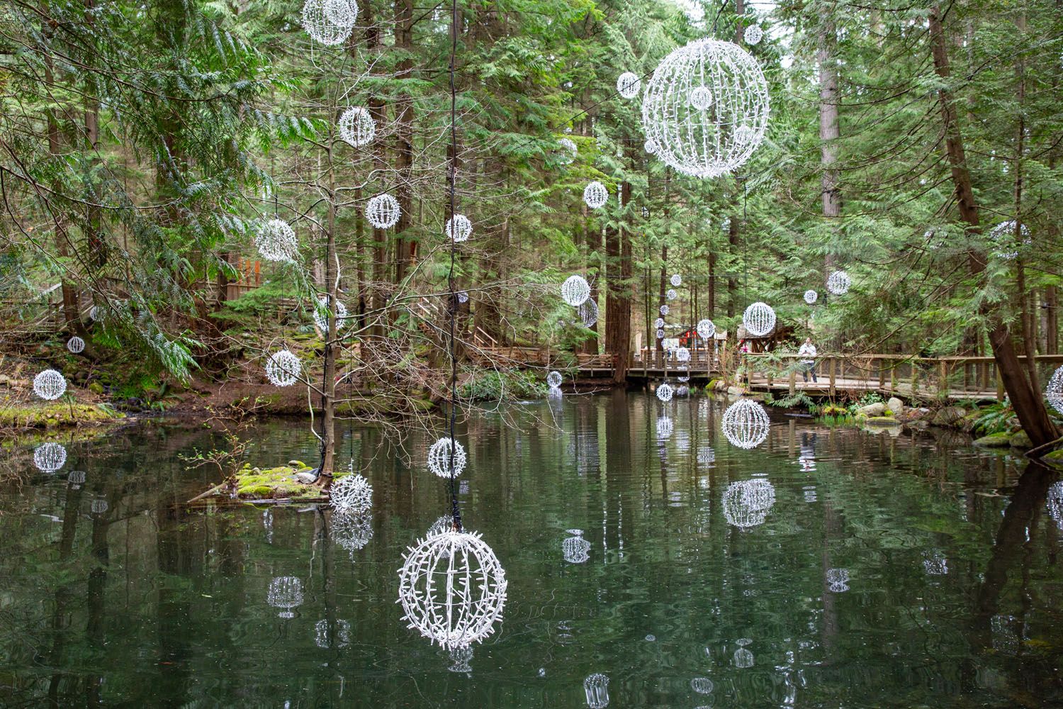 Capilano Lake
