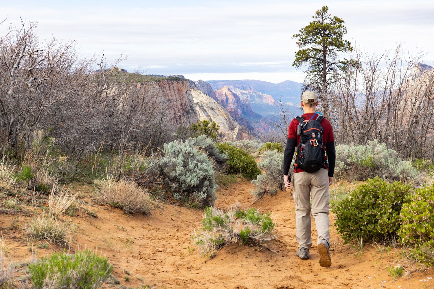 East Rim Trail