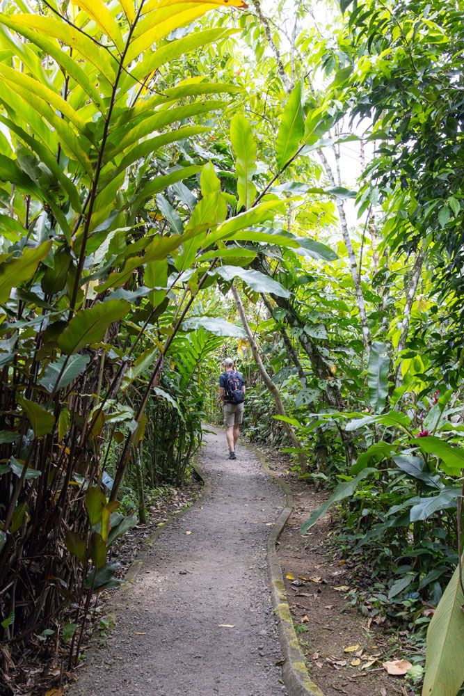 La Fortuna Hikes and Trails