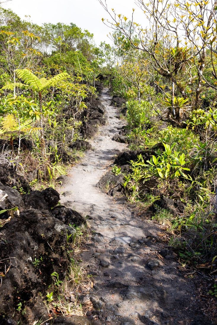 Lava Field Trail