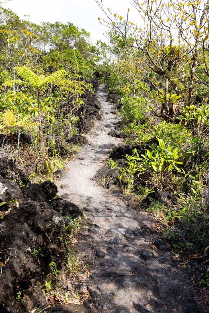 Lava Field Trail