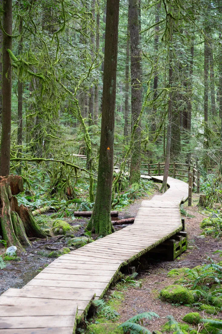 Lynn Canyon Trail