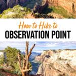 Observation Point Zion Hiking Guide