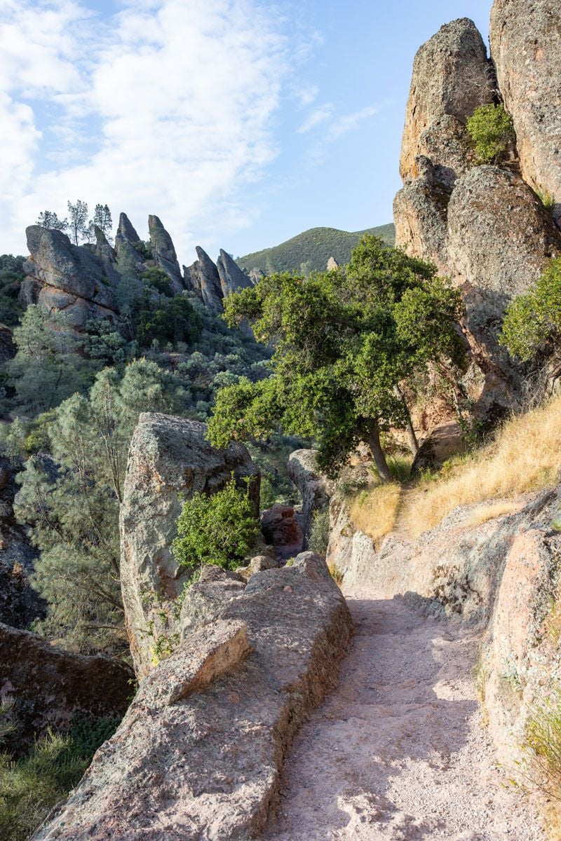 Rim Trail Pinnacles