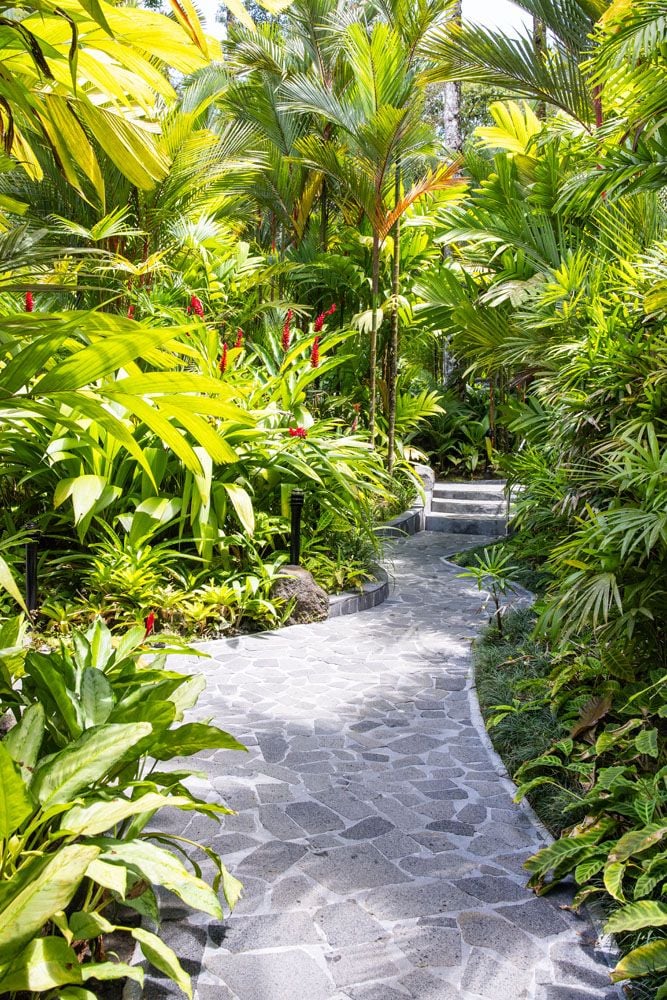 Tabacon Path