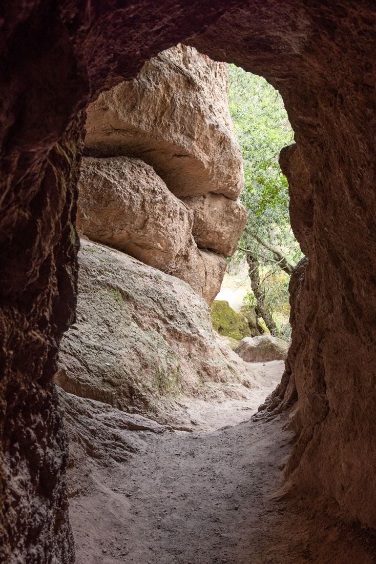 Tunnel on the Trail