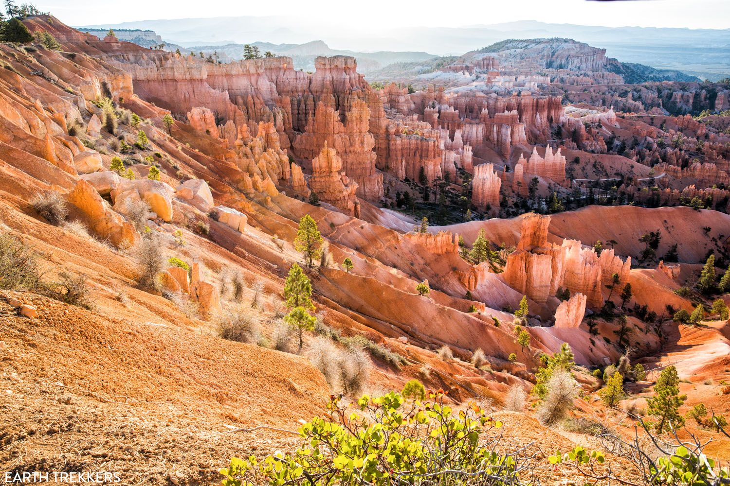 Bryce Canyon at Sunrise