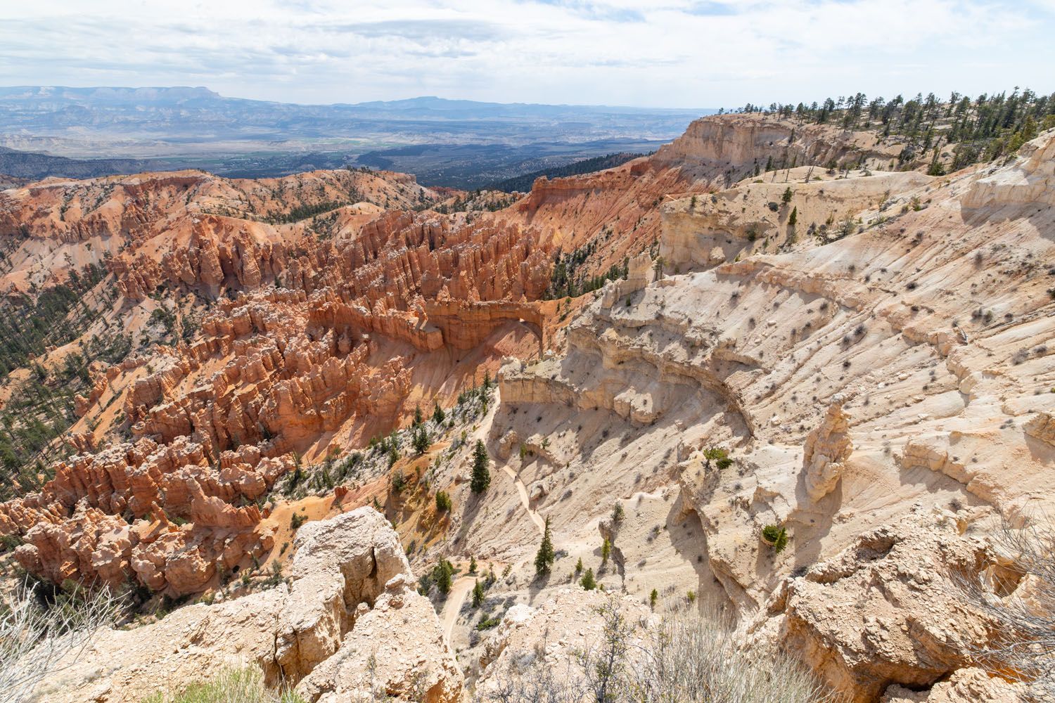 Bryce Point View
