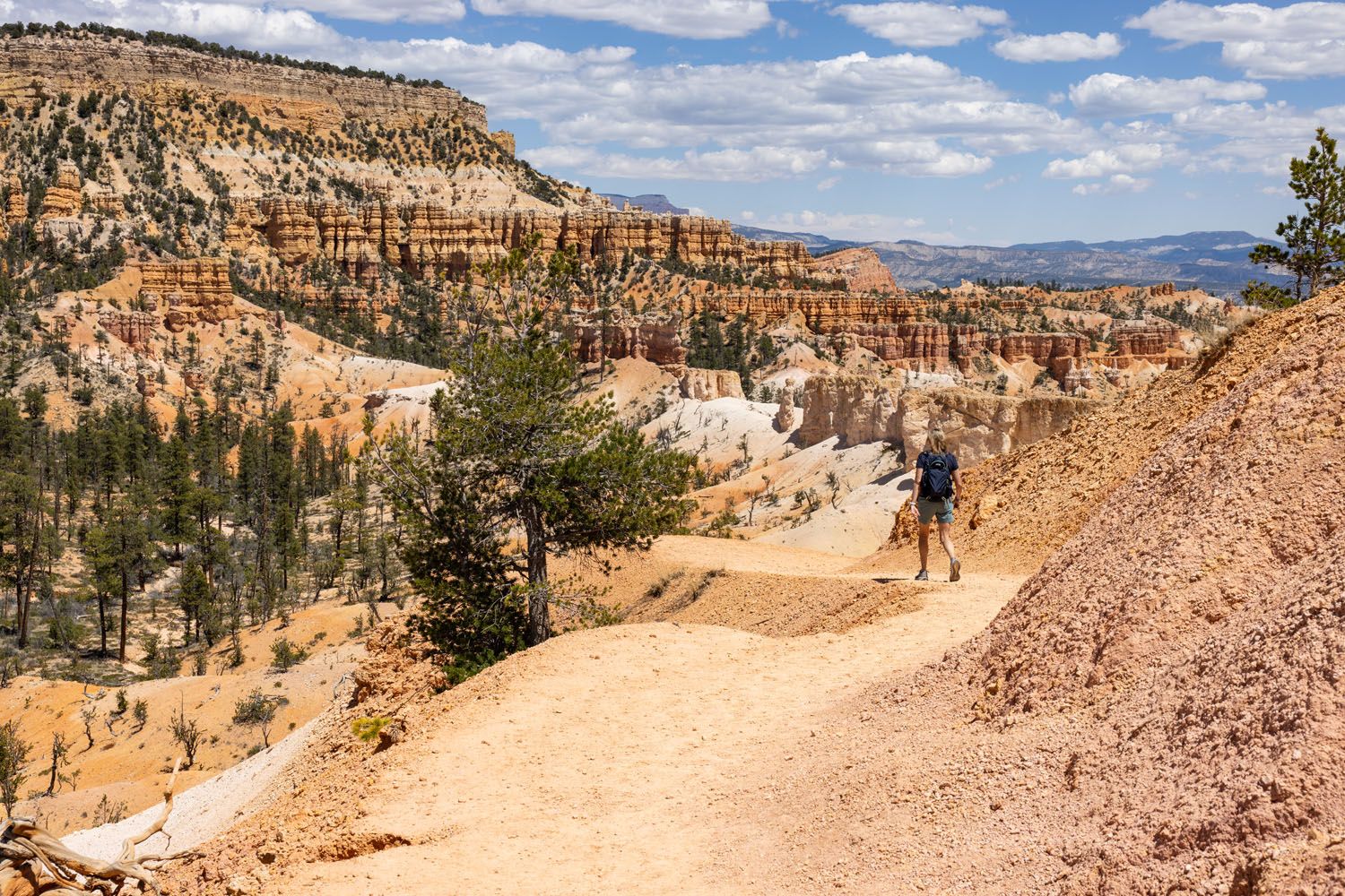 Fairyland Loop Hike