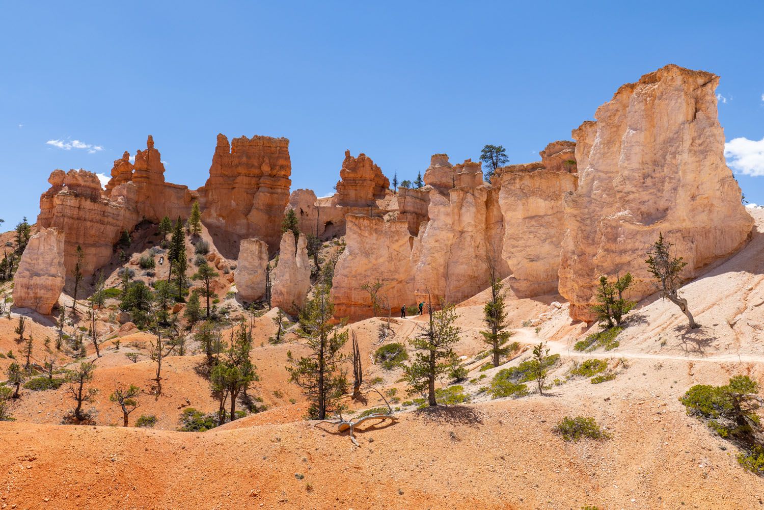 Fairyland Loop Hike