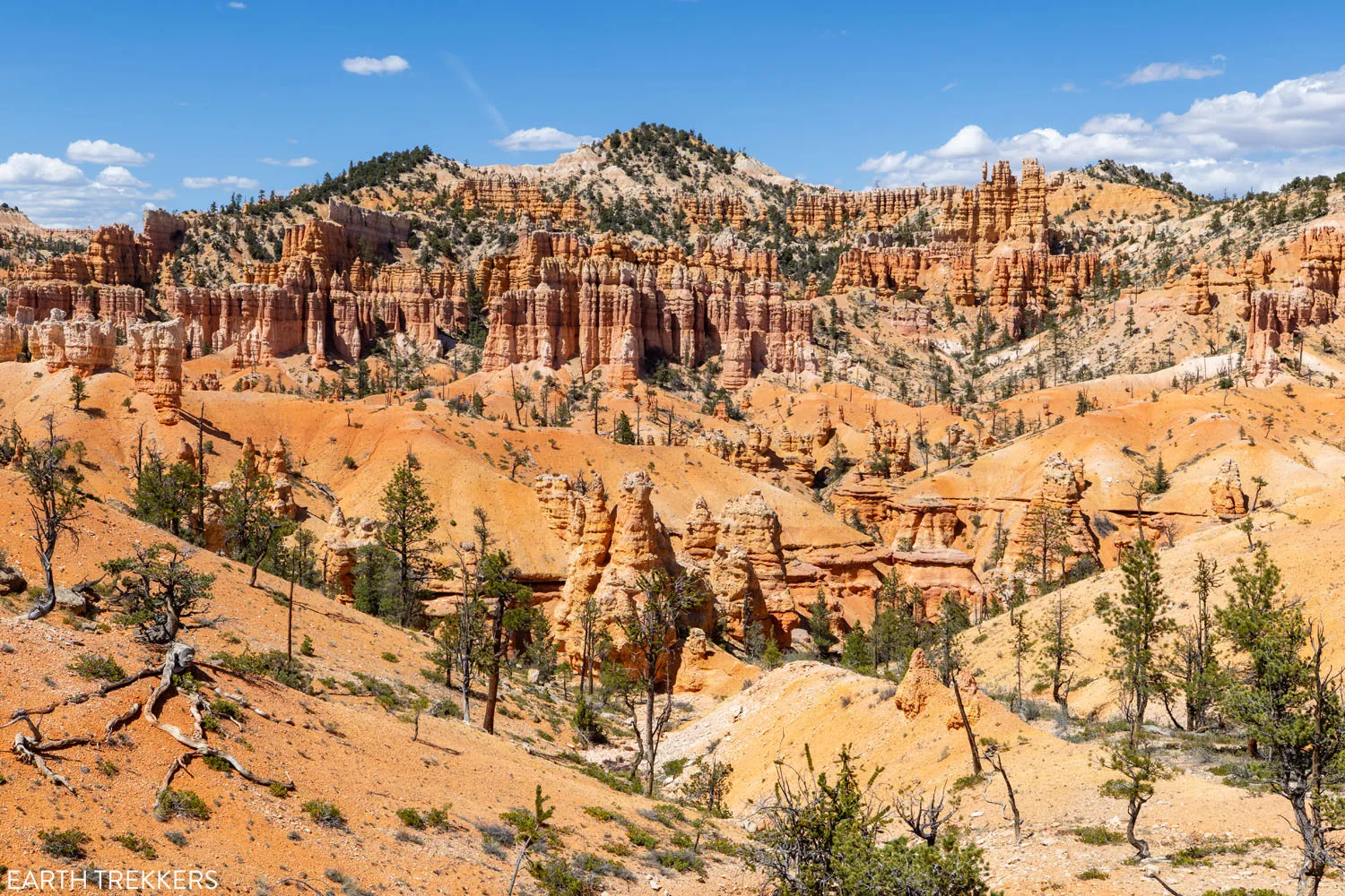 Fairyland Loop Hike