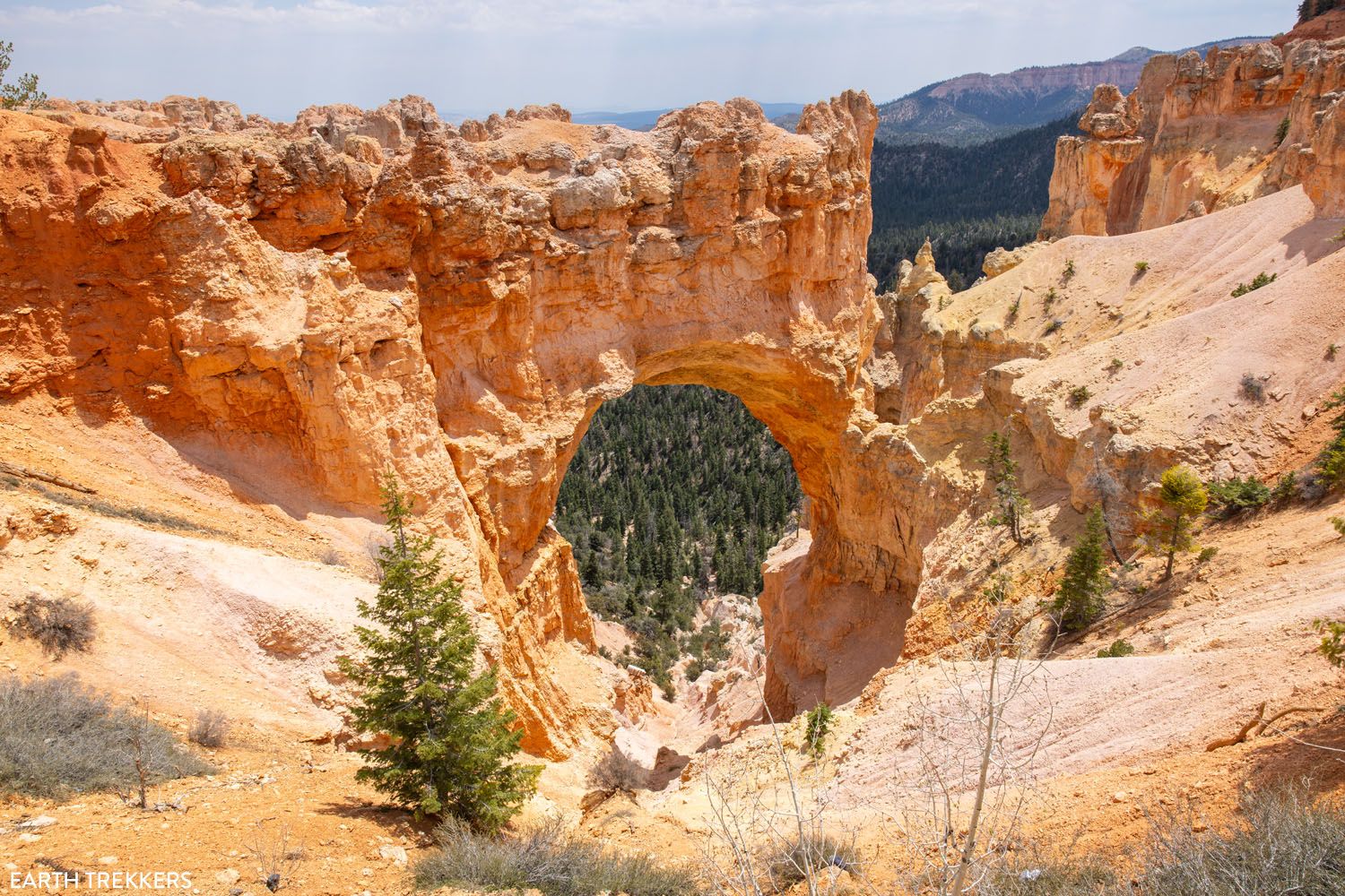 Natural Bridge Bryce Canyon