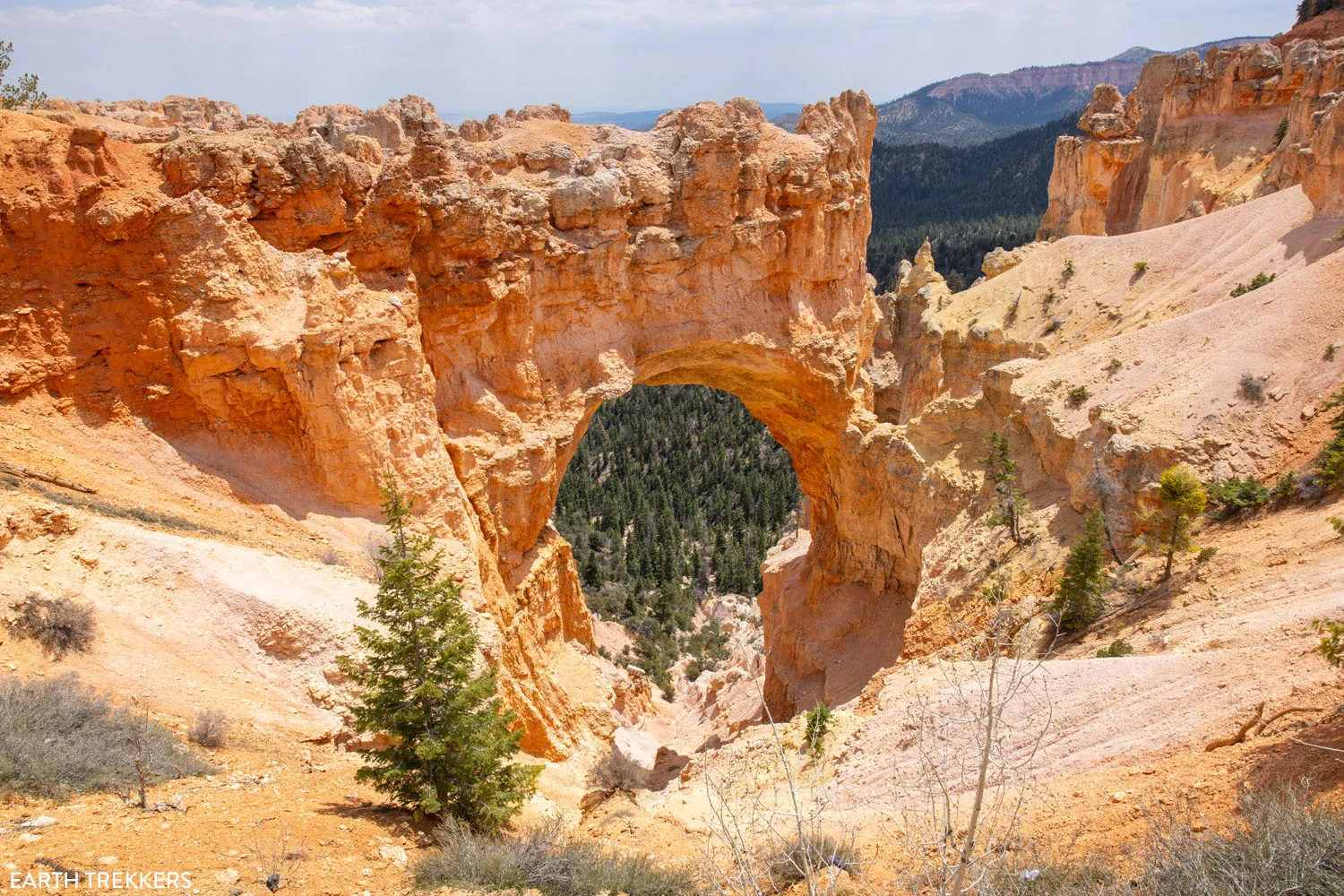 Natural Bridge Bryce Canyon