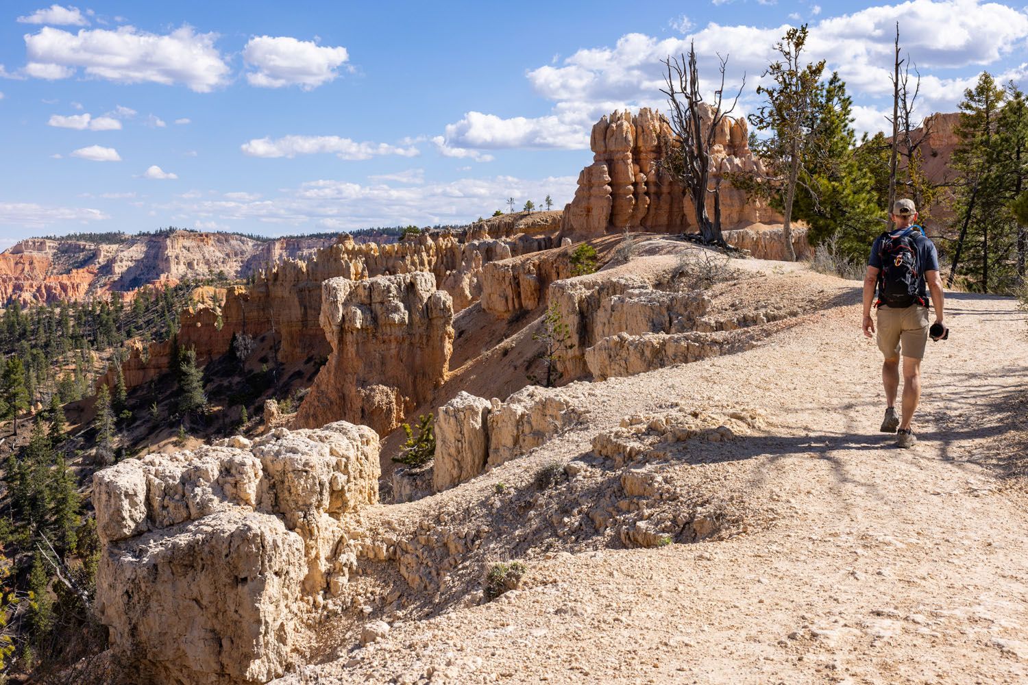 On the Rim Trail