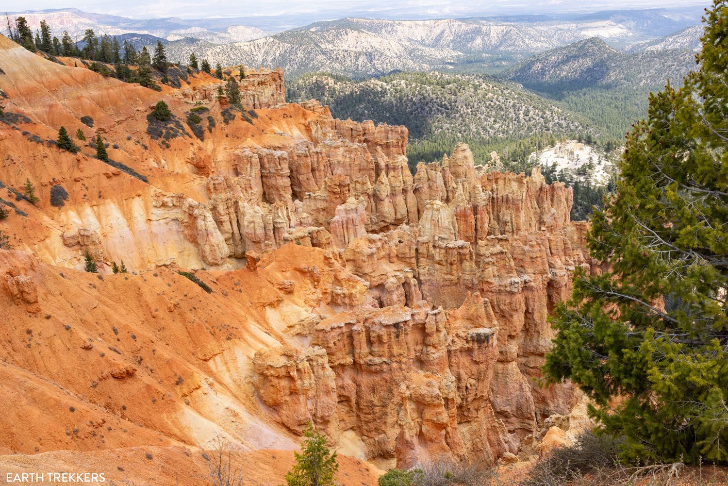 Ponderosa Point Bryce Canyon