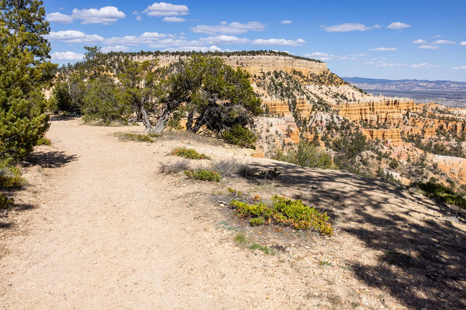Rim Trail Bryce Canyon