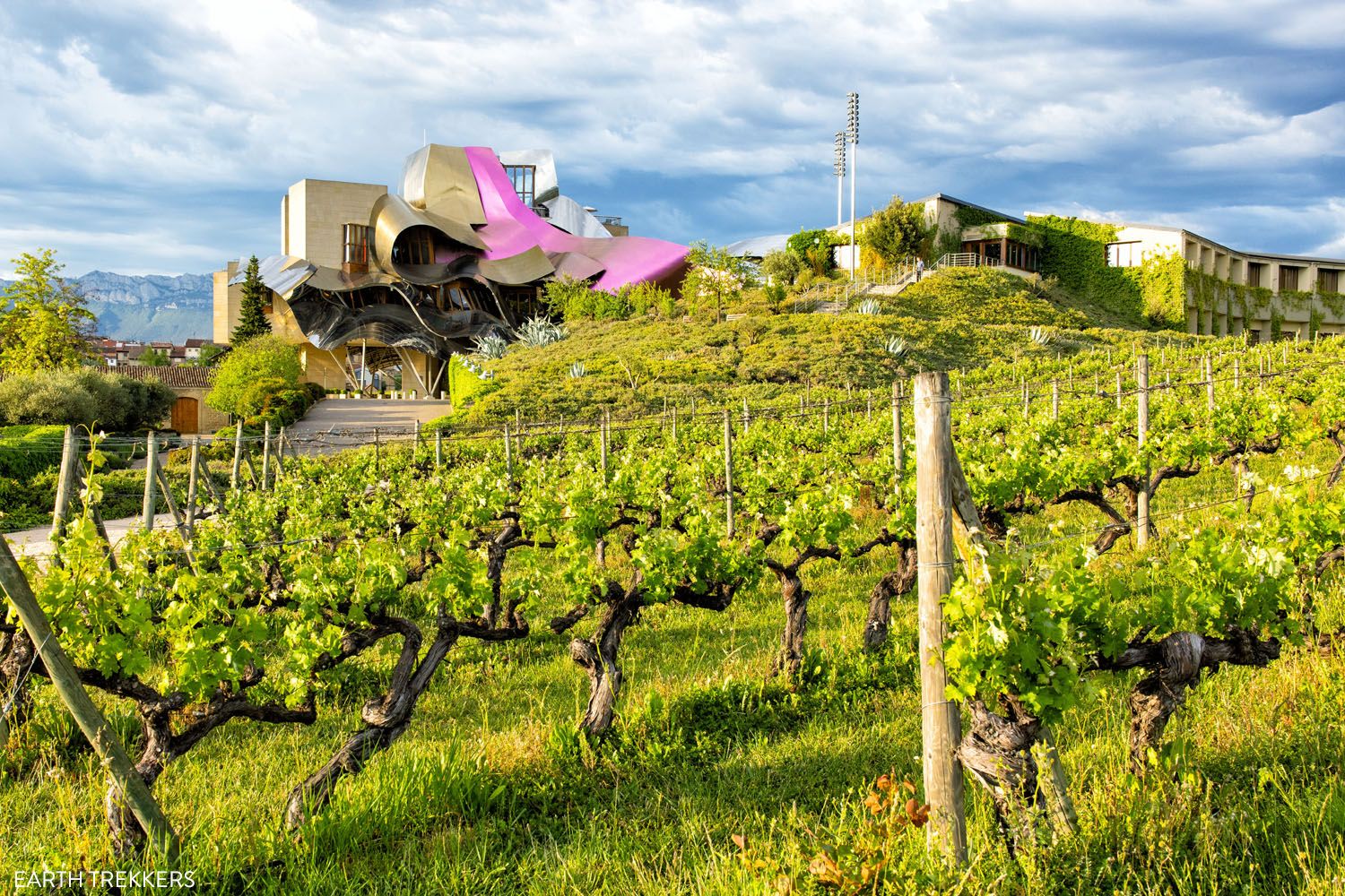 Rioja Wine Region Spain