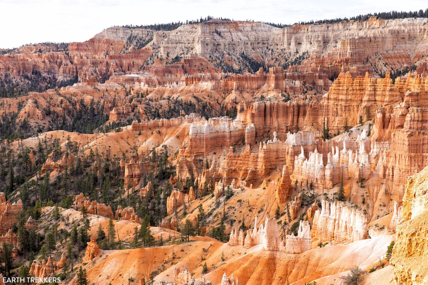 Sunrise Point View Bryce Canyon