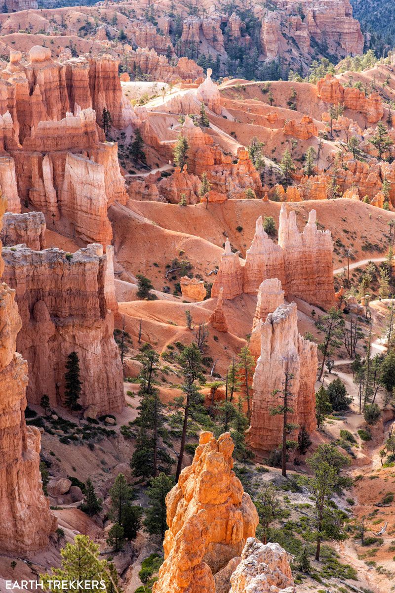 View of the Queens Garden Trail
