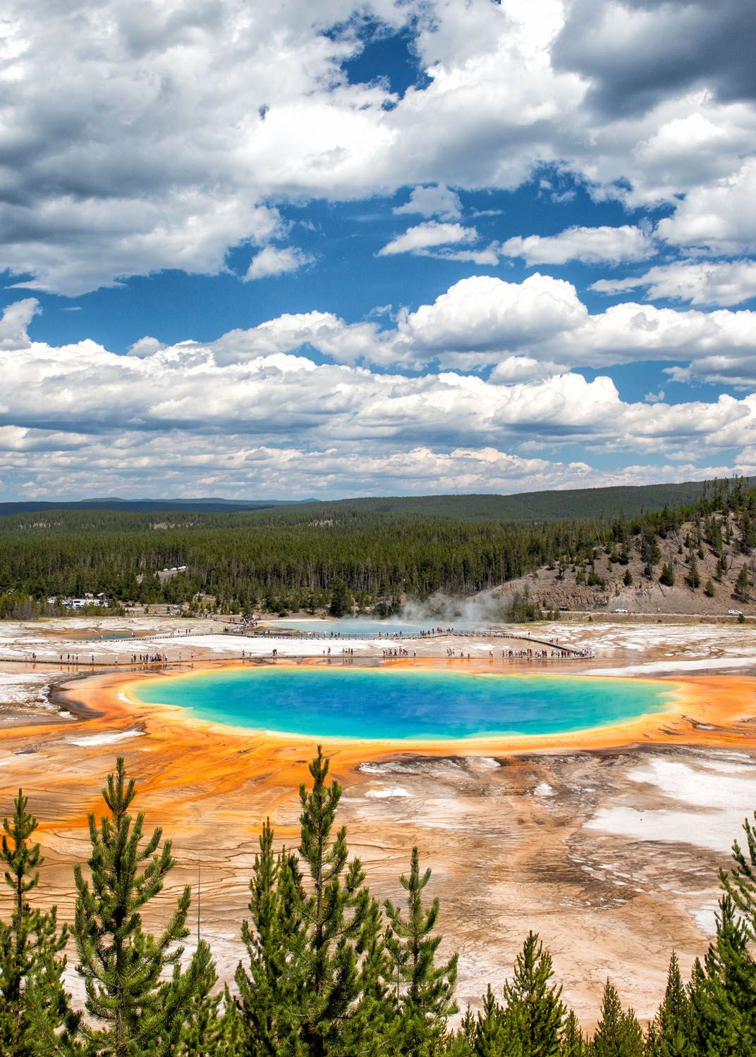 Yellowstone National Park Photo