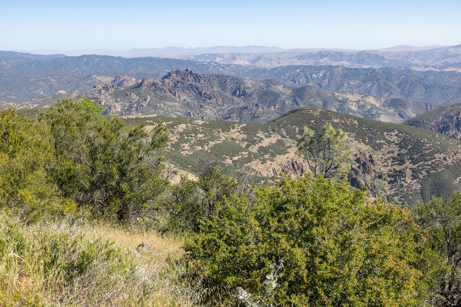Chalone Peak View