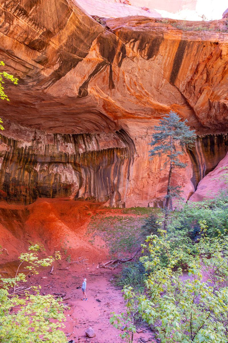 Double Arch Alcove