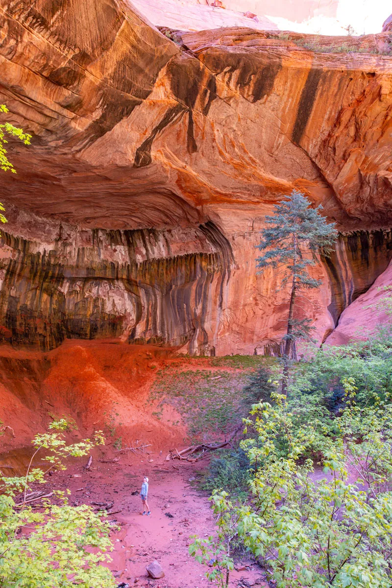 Double Arch Alcove