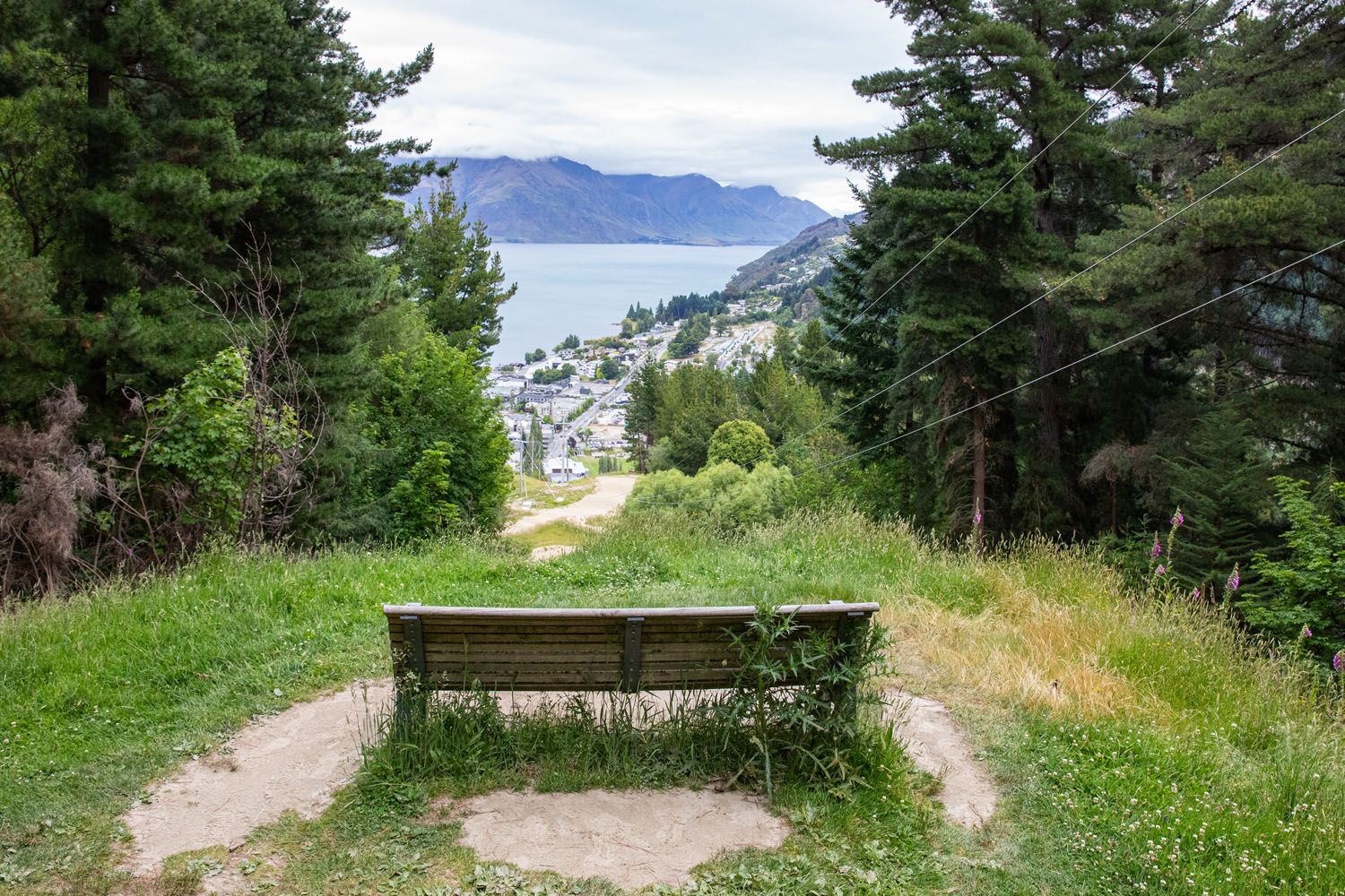 First Viewpoint