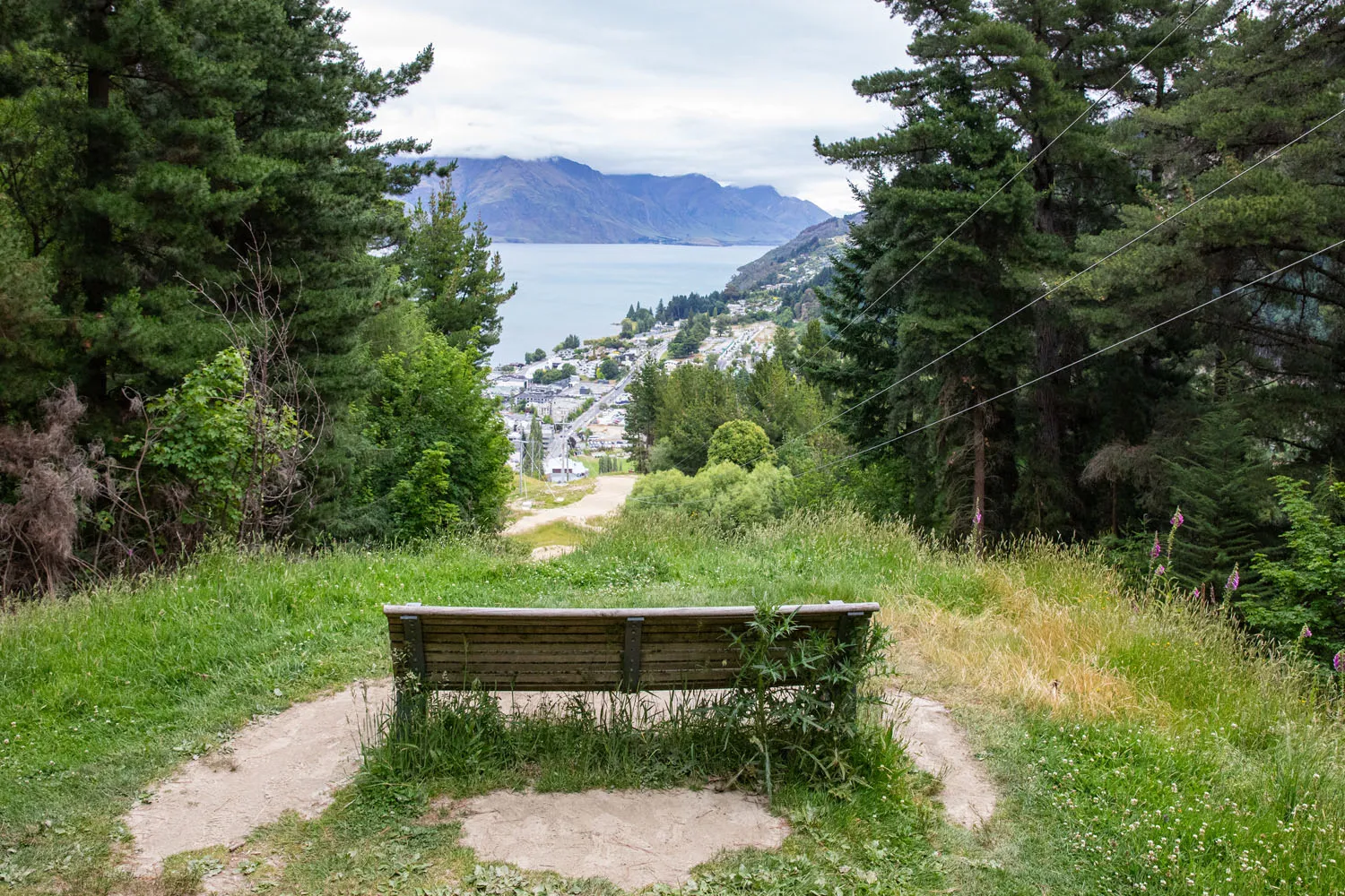 First Viewpoint