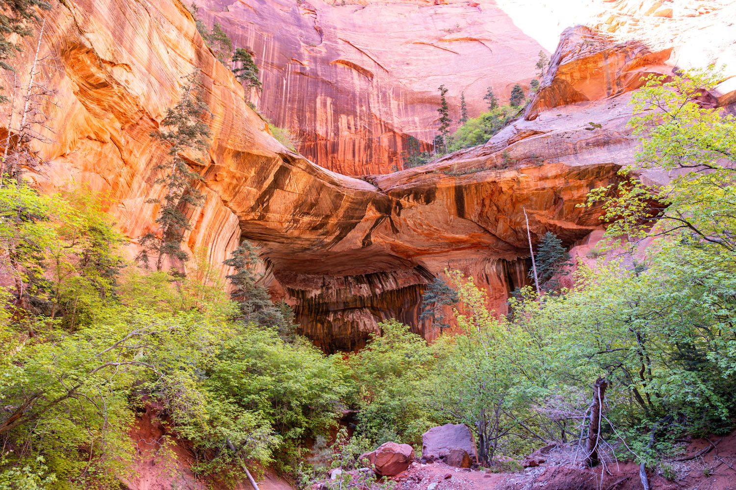 Kolob Canyons Zion National Park