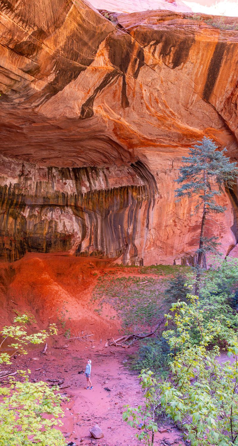 Kolob