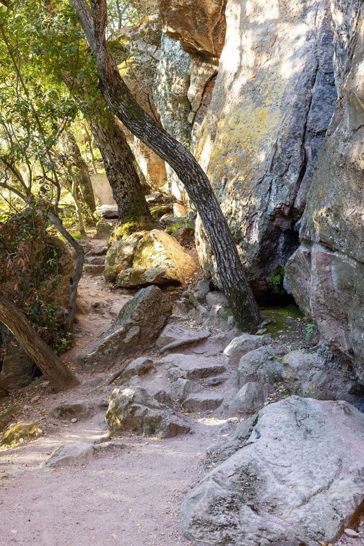 Moses Spring Trail