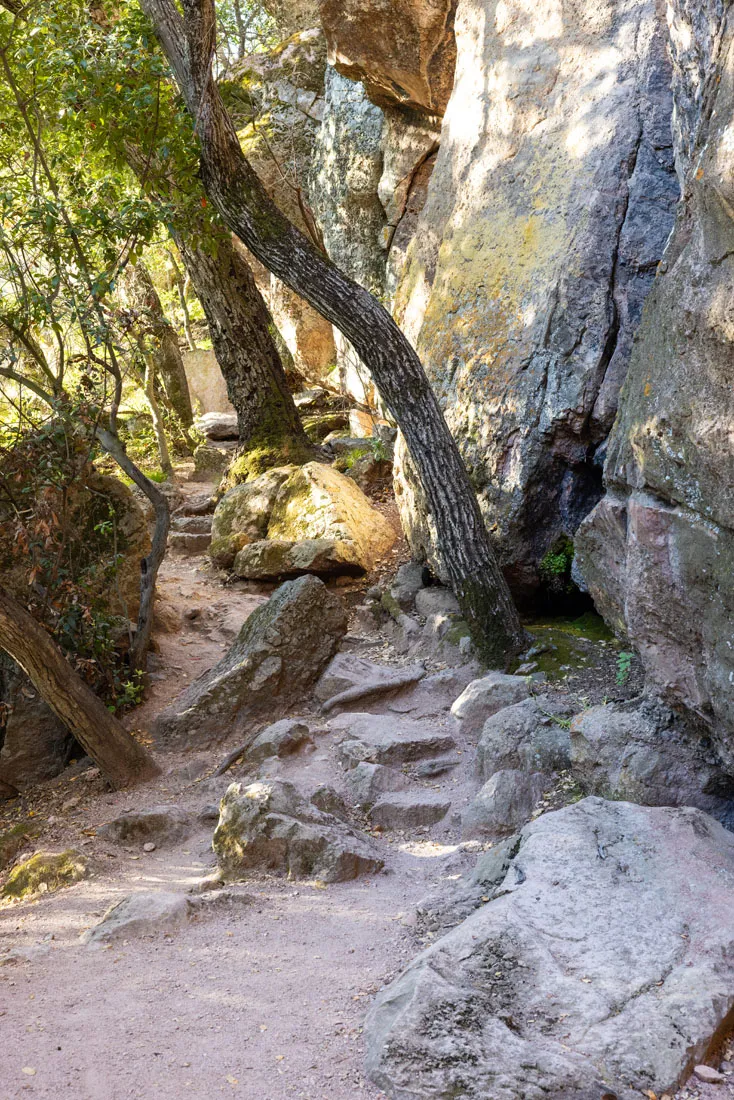 Moses Spring Trail