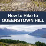 Queenstown Hill Hike New Zealand