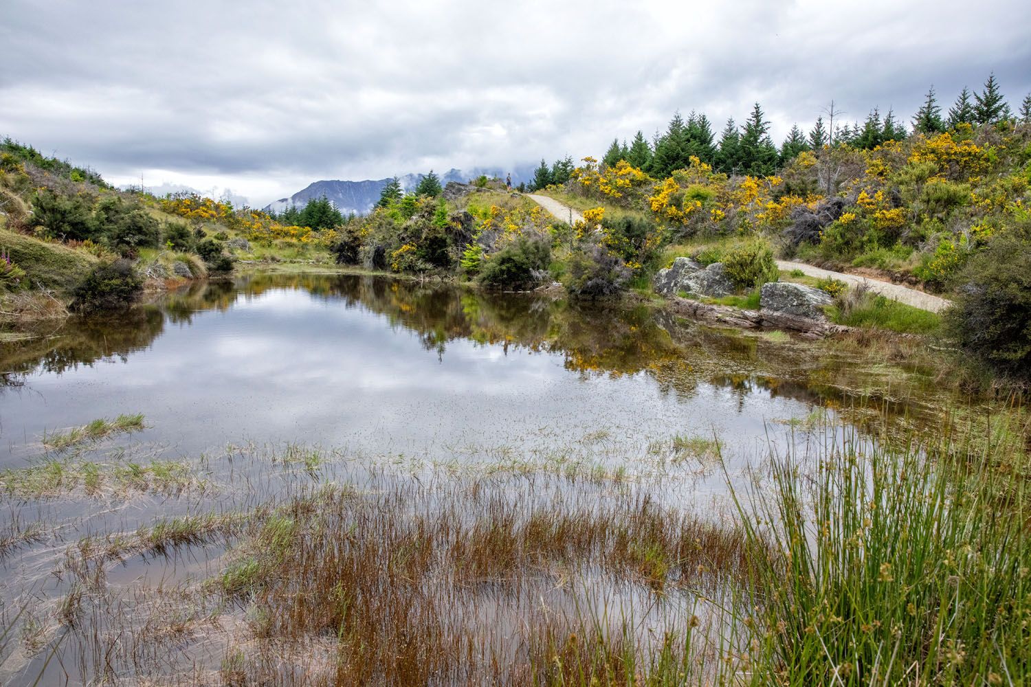 Queenstown Hill Pond