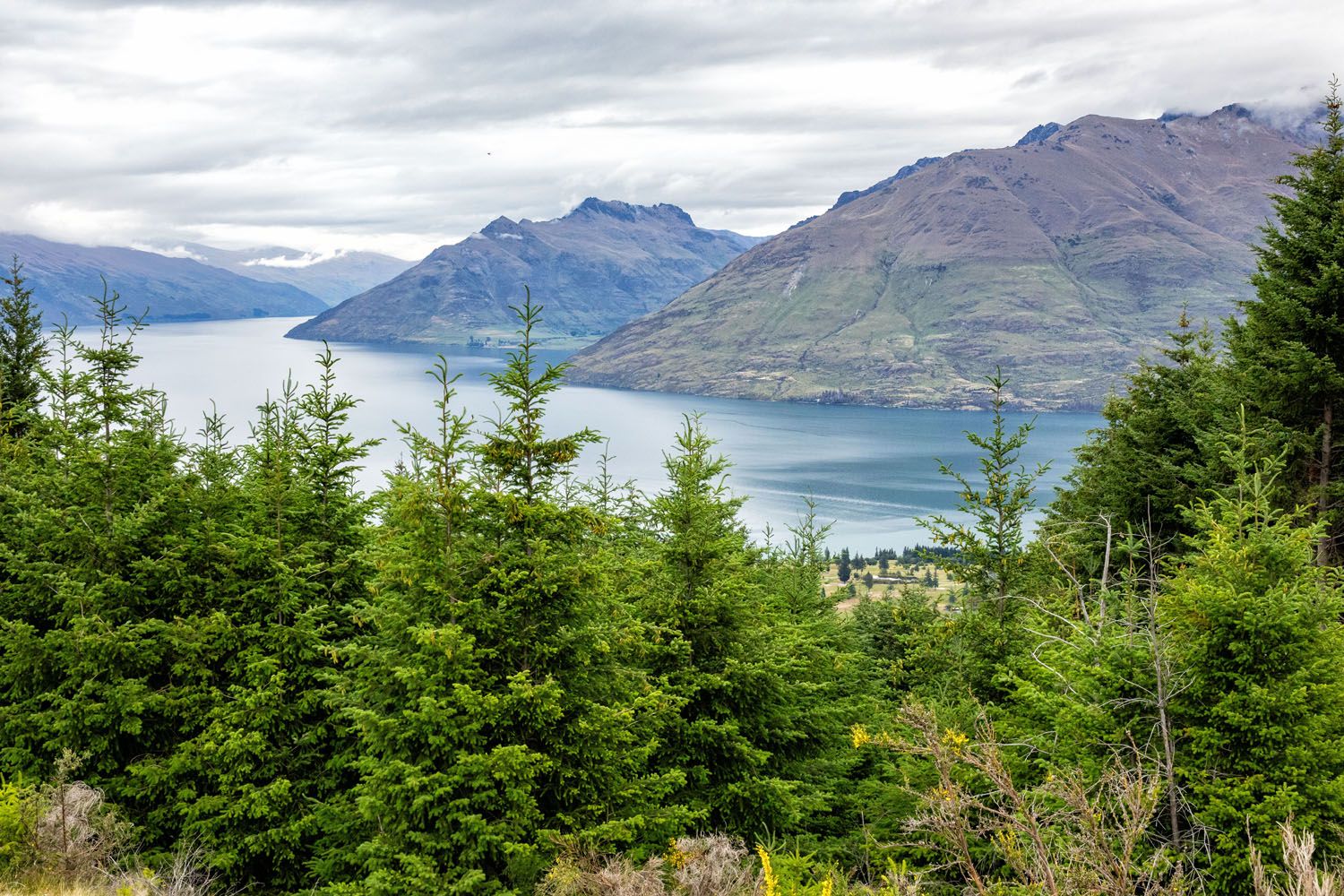 Queenstown Hill View