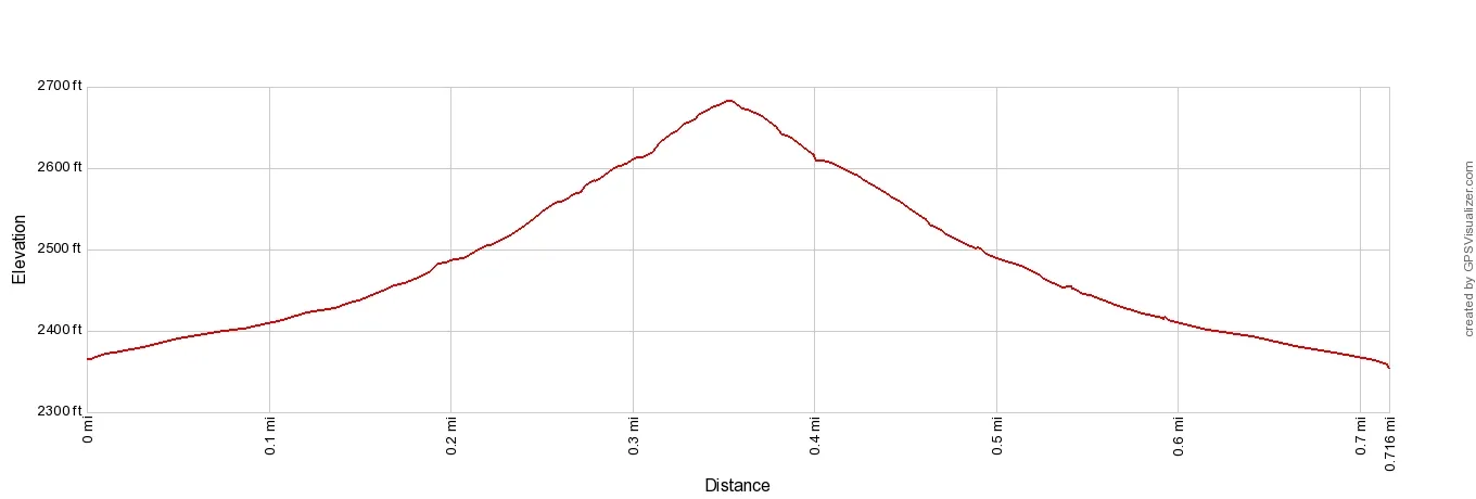 Tasman Glacier View Track Elevation Profile Imperial