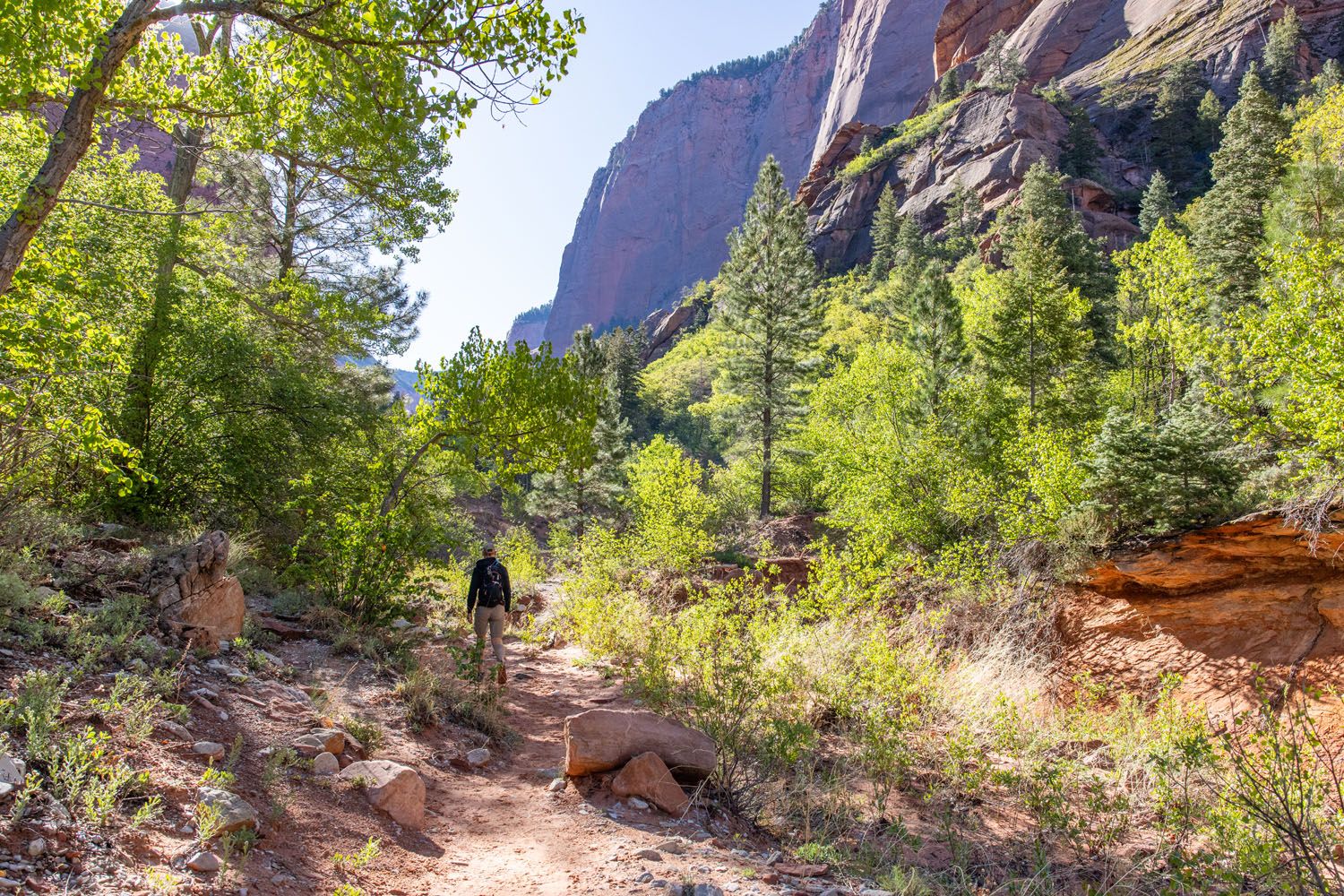 Taylor Creek Trail