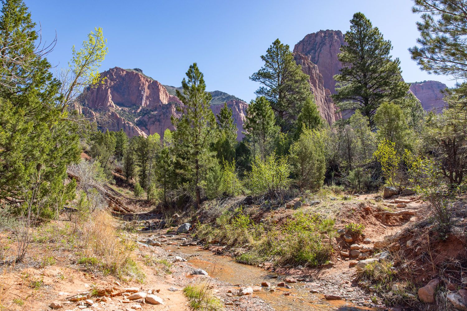 Taylor Creek