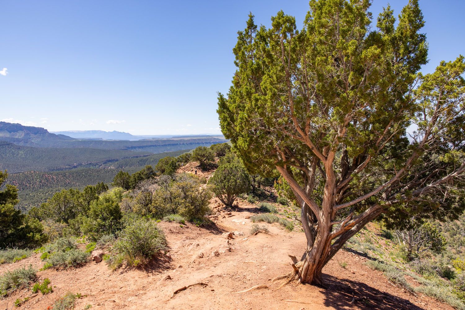 Timber Creek Overlook Trail Photo