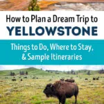 Yellowstone National Park Travel Guide