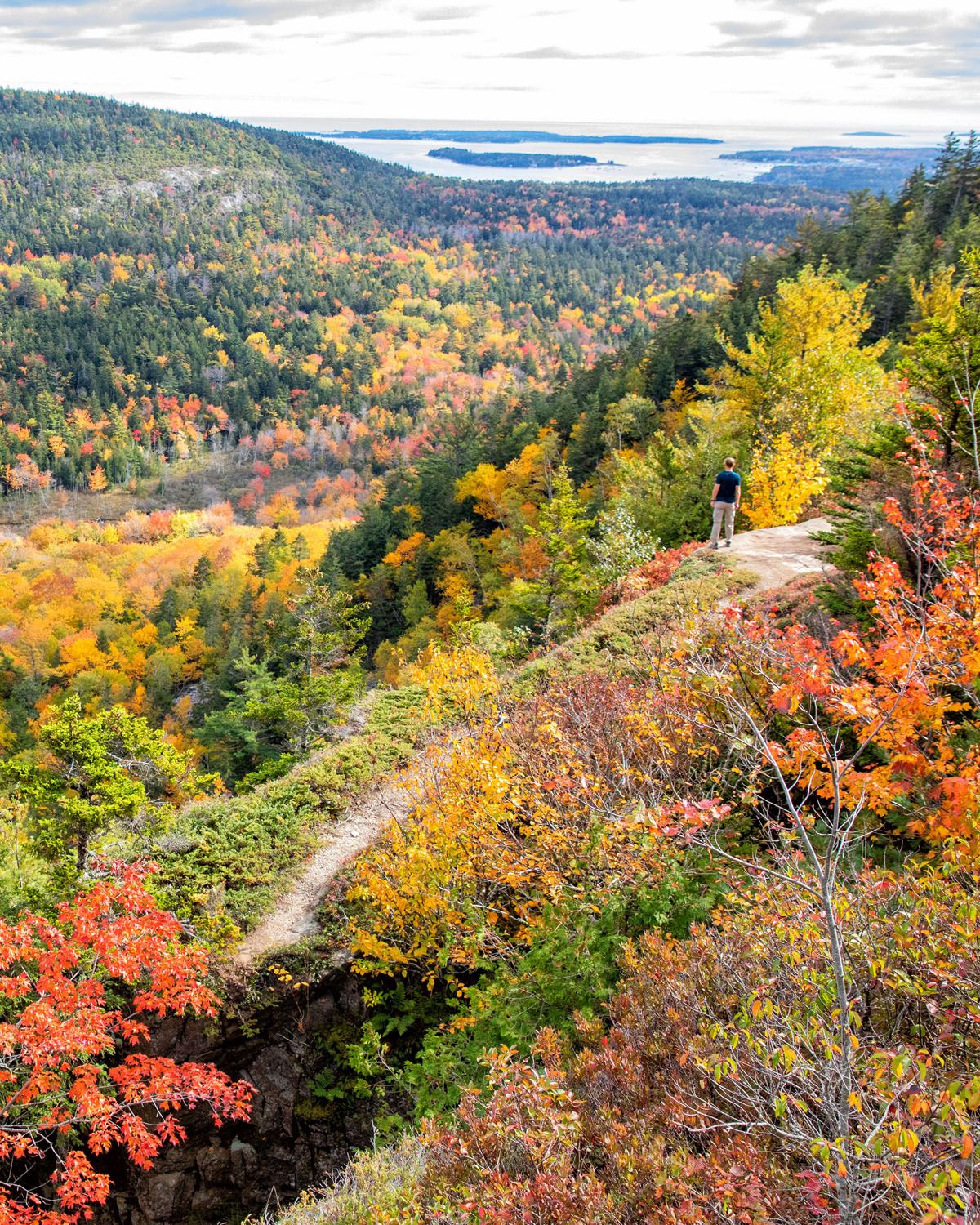 Acadia 