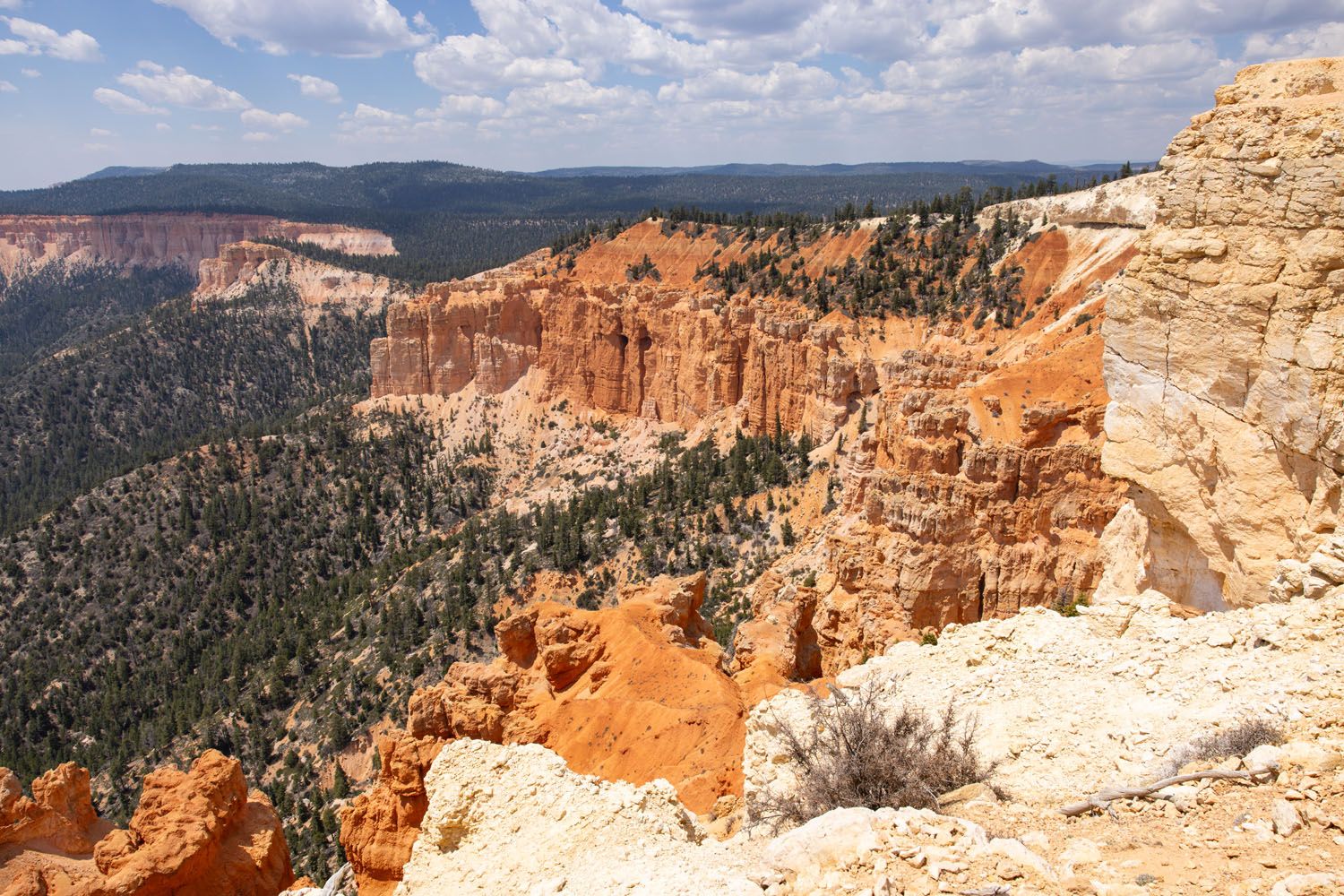 Bristlecone Loop Trail View