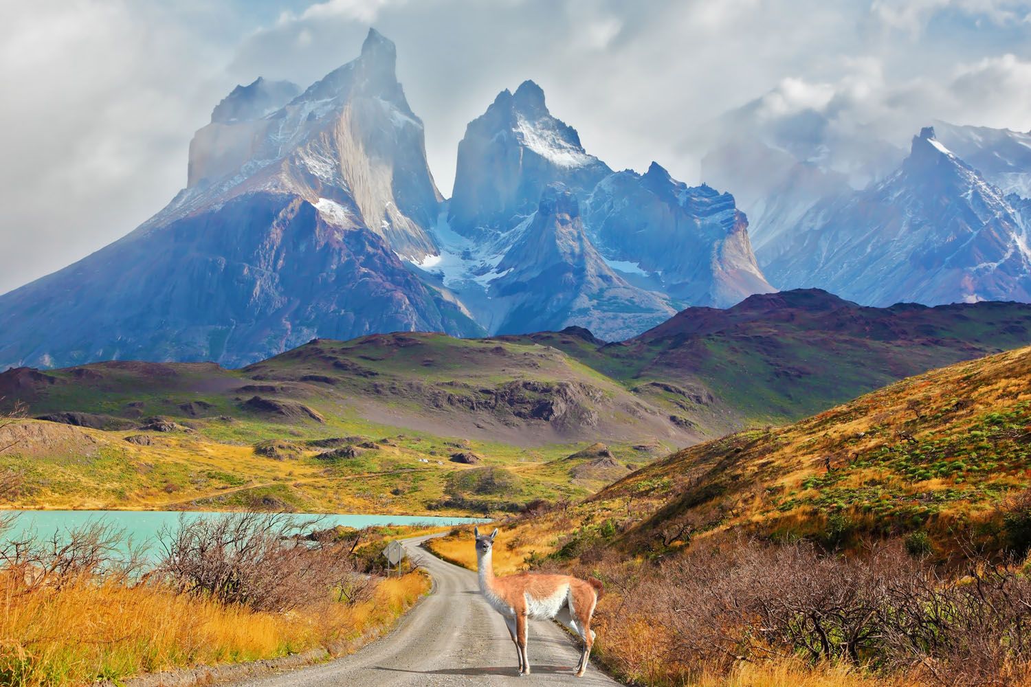 Chile Torres del Paine