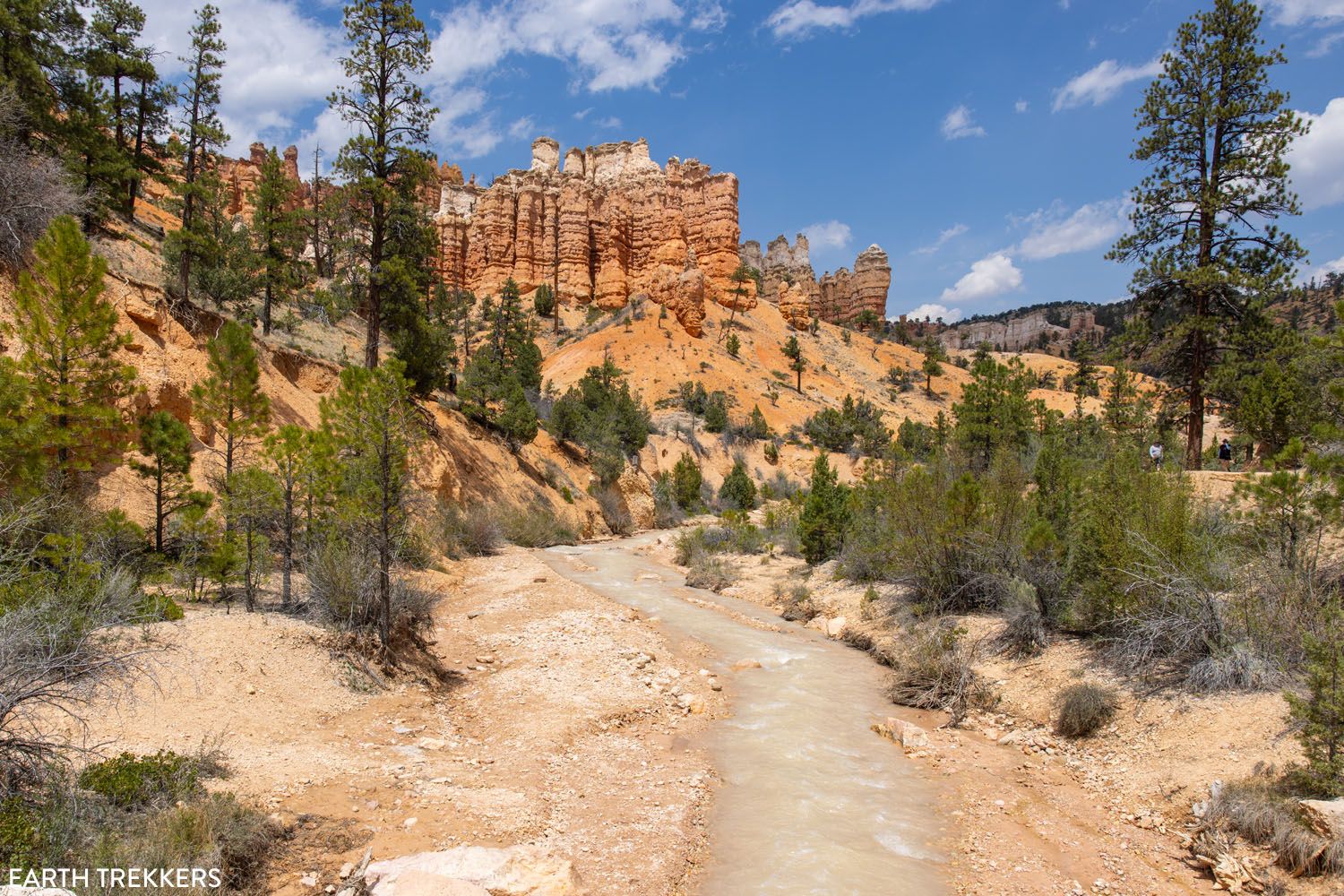 Mossy Cave Trail